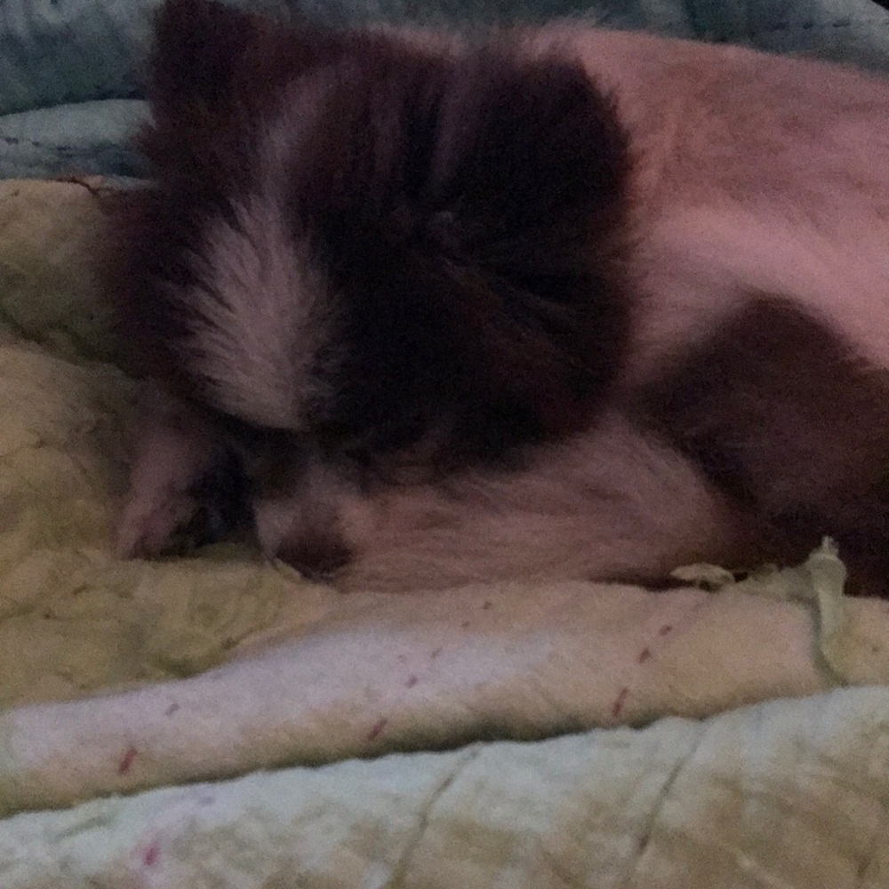 Meet your Posher, Kendra